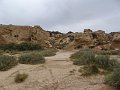 DSC04451