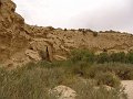 DSC04455
