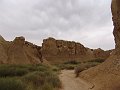 DSC04459