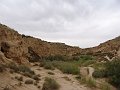 DSC04460