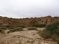 DSC04466