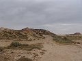 DSC04472