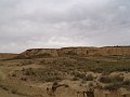 DSC04497