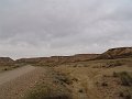 DSC04498
