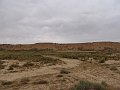 DSC04501