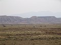DSC04515