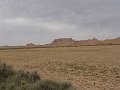 DSC04519