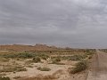 DSC04528