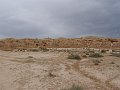 DSC04530