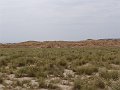 DSC04533