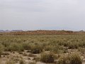 DSC04534
