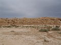 DSC04538