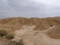 DSC04545