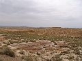 DSC04549