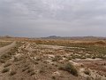 DSC04550