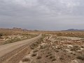 DSC04551
