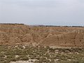 DSC04553