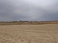 DSC04554