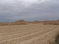 DSC04556