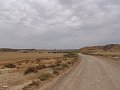 DSC04560