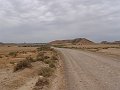 DSC04564