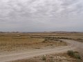 DSC04569