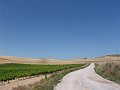DSC03940a