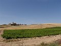 DSC03942