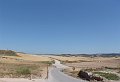 DSC03956