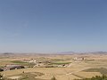DSC03986