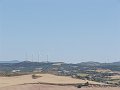 DSC03994