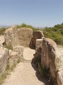 DSC03997