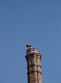 DSC04205