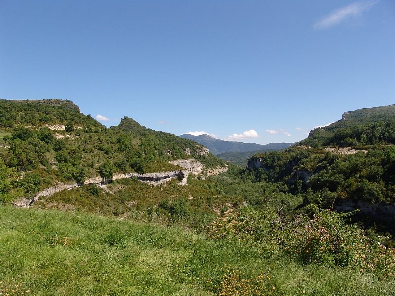 156.JPG