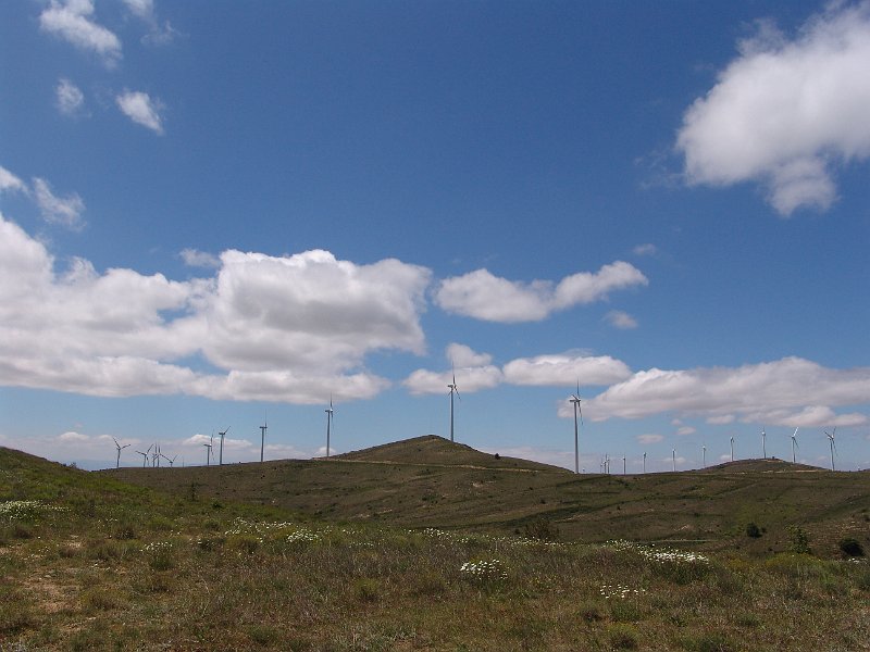 163.JPG