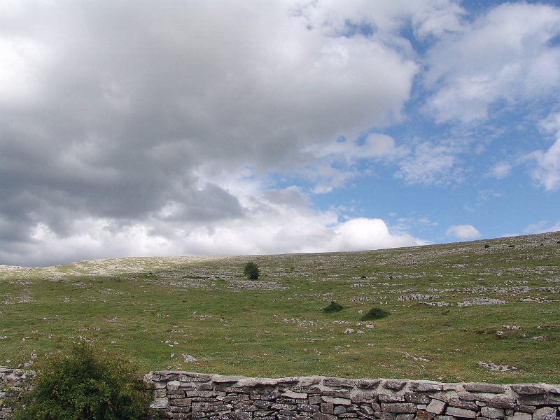 DSC03097.jpg