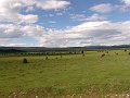 DSC03121