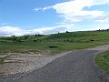 DSC03124