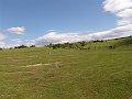 DSC03134