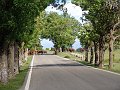 DSC03135