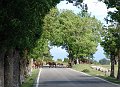 DSC03136