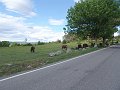 DSC03141