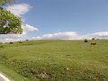 DSC03143