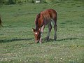 DSC03146