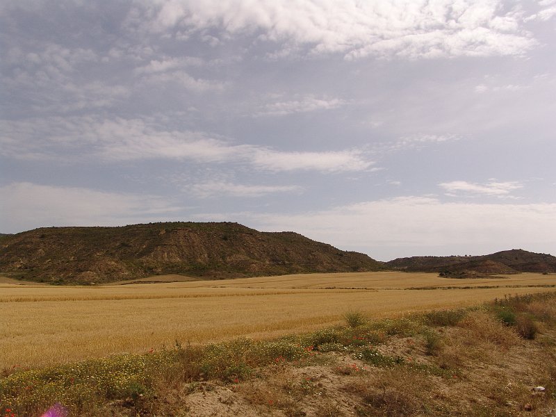 DSC04264.JPG