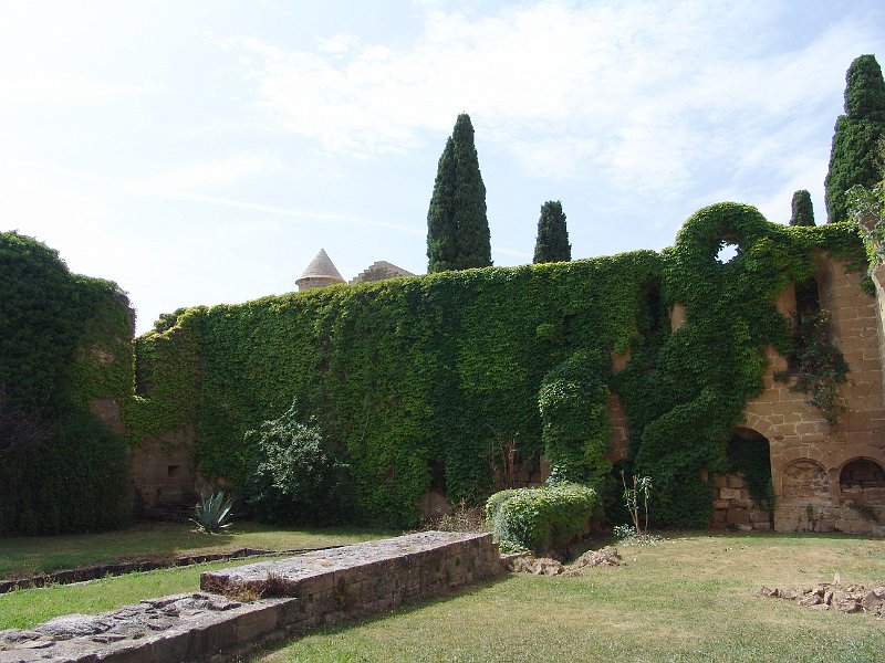 DSC04336.jpg