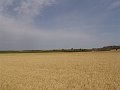DSC04257