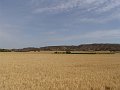 DSC04258