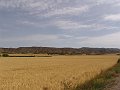 DSC04259