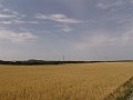 DSC04261